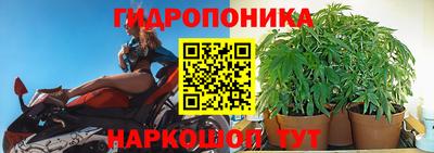 a pvp Кулебаки