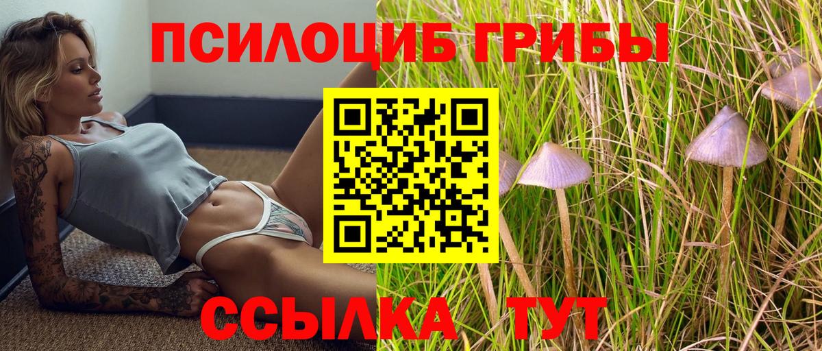 Карачаевск  Псилоцибиновые грибы MAGIC MUSHROOMS  Галлюциногенные грибы Psilocybine cubensis  Вход с VPN 