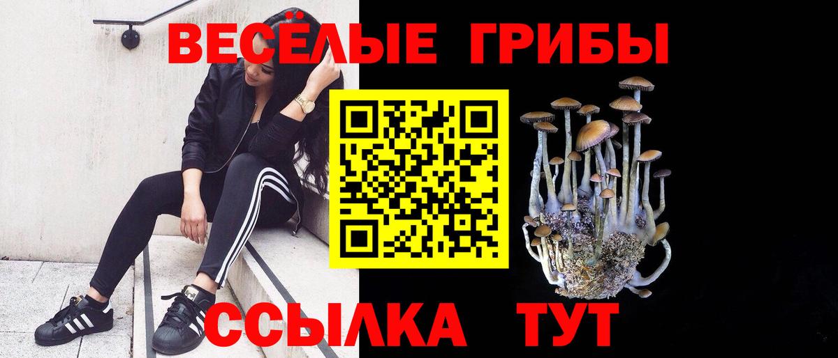 Галлюциногенные грибы мицелий Карачаевск